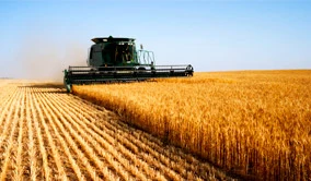 Diferenciais Zanon Agro